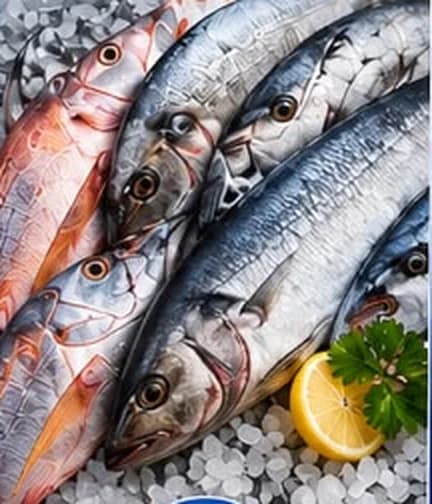 Plateau de poissons assortis frais — JM Poissonnerie